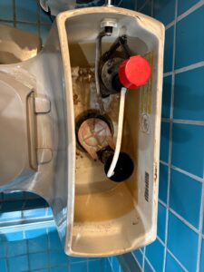 Toilet Repair
