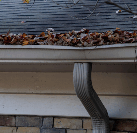 clogged gutters
